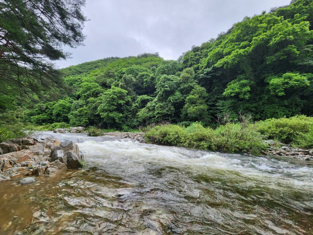 오색 주전골 계곡