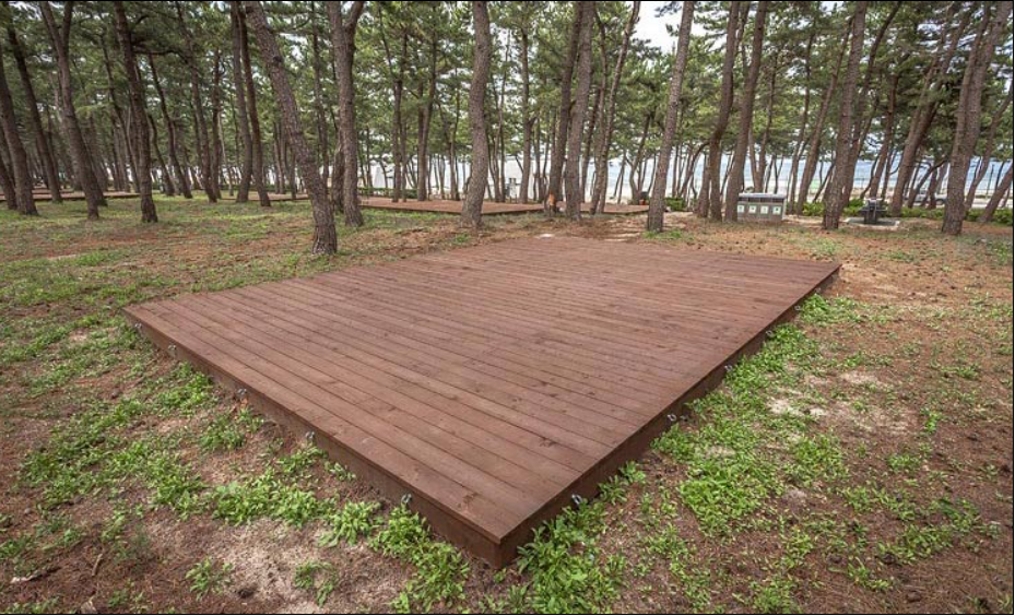 연곡솔향기캠핑장 나무사이트