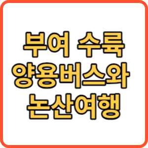 부여 수륙양용버스 썸네일
