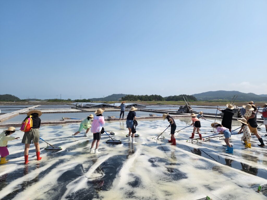 신안군 태평염전에서 체험중인 아이들