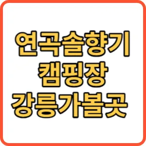 연곡솔향기캠핑장 썸네일
