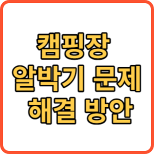 캠핑장 알박기 문제 해결방안
