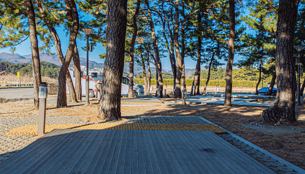 맹방비치 캠핑장