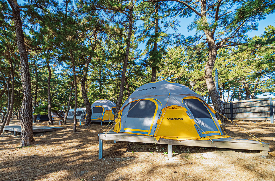 맹방비치 캠핑장 캠핑데크