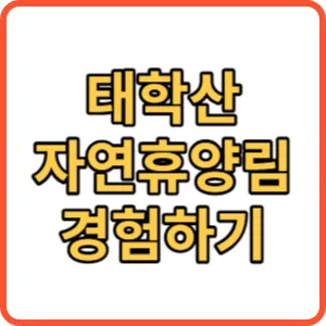 태학산 자연휴양림 썸네일
