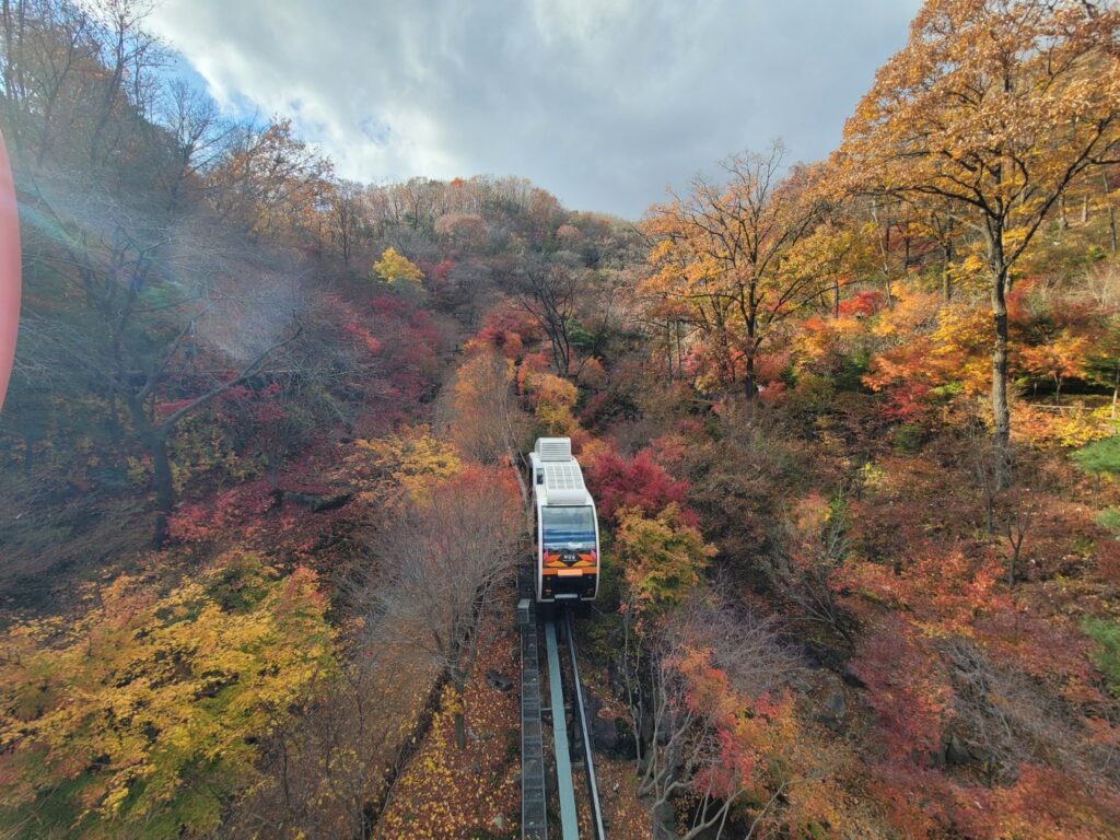 화담숲 모노레일