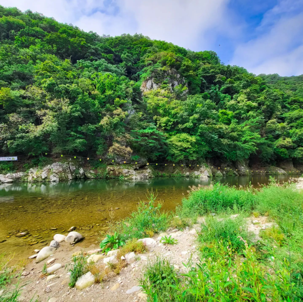 구름 계곡 오토캠핑장 계곡