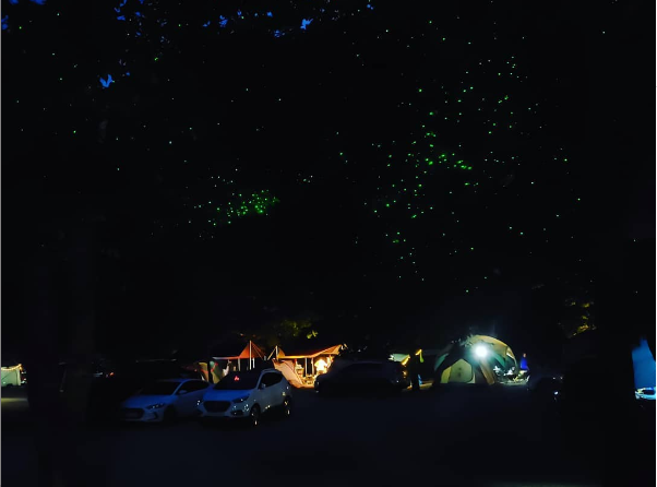 구름 계곡 오토캠핑장의 야경