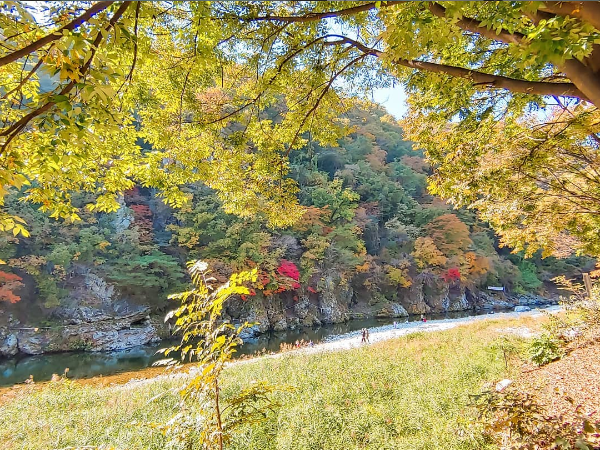 구름 계곡 오토캠핑장 단풍