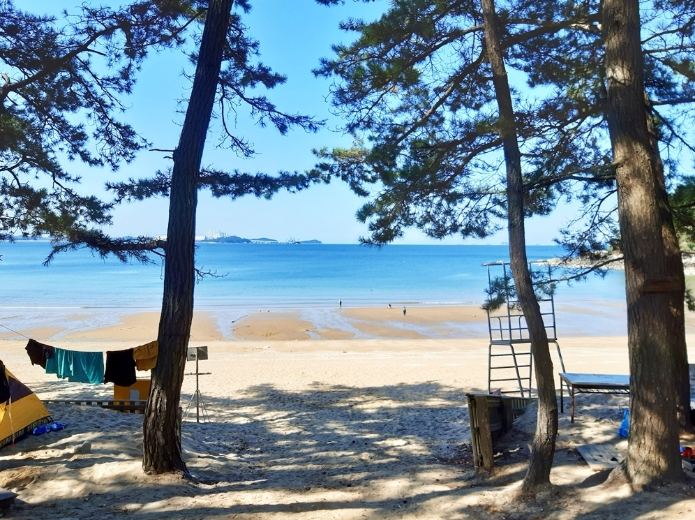 꾸지나무골캠핑장 해변모습
