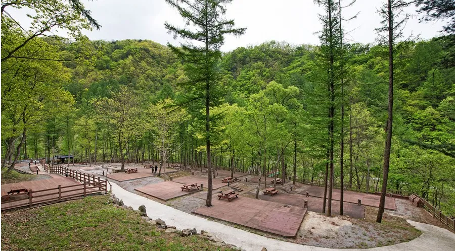 만산동 국민여가캠핑장