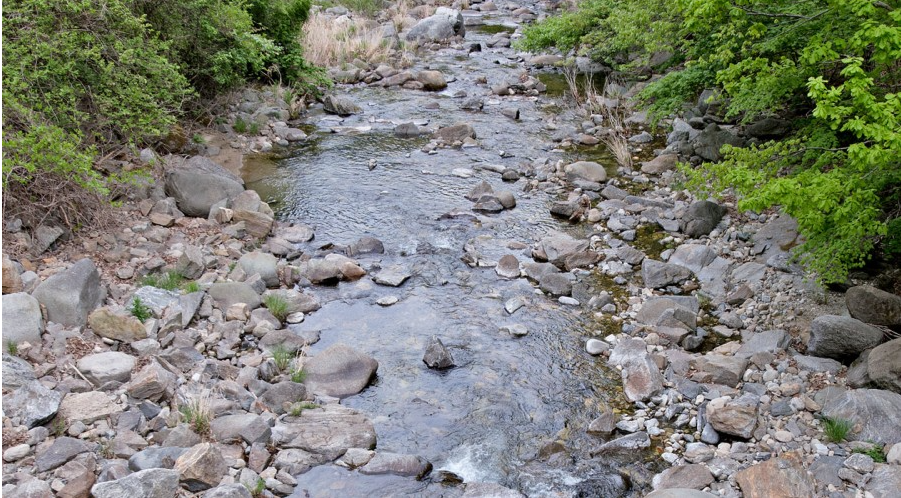 만산동 국민여가캠핑장 계곡