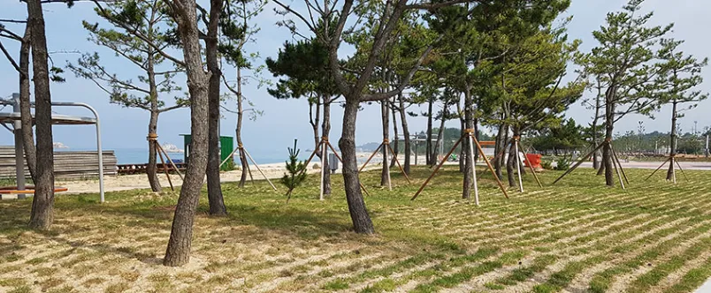 봉수대오토캠핑장