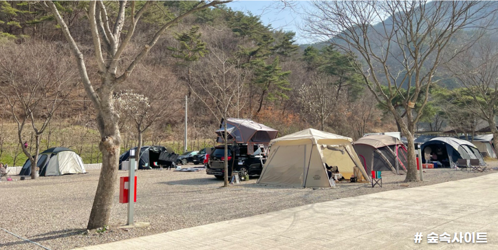 하늘숲오토캠핑장 숲속사이트