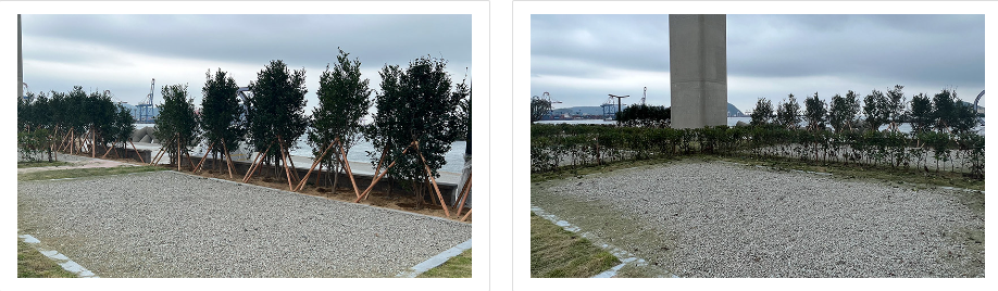 영도마리노오토캠핑장 일반사이트