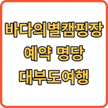 바다의별캠핑장 썸네일
