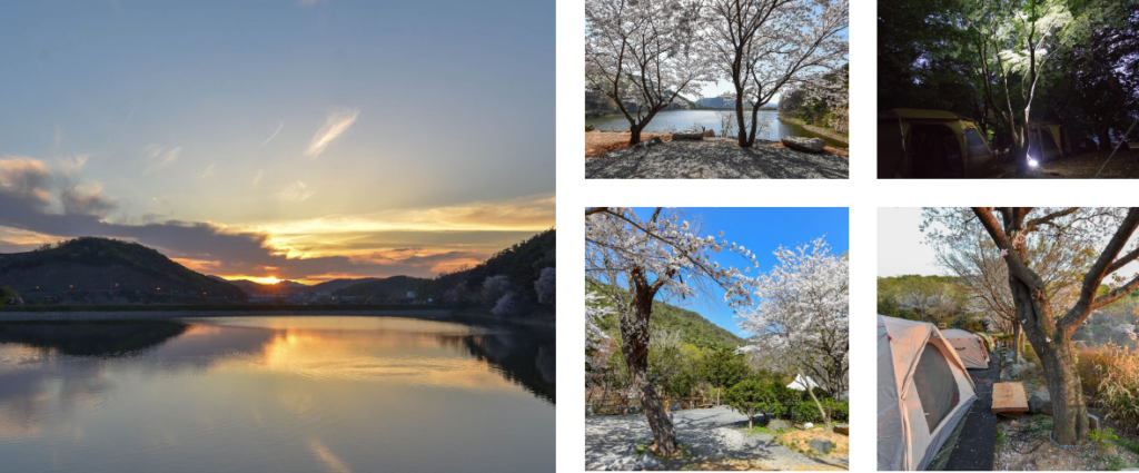 문수골힐링캠핑장 전경