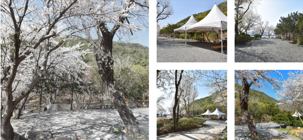 문수골힐링캠핑장 전경