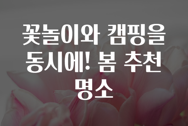 꽃놀이와 캠핑을 동시에! 봄 추천 명소