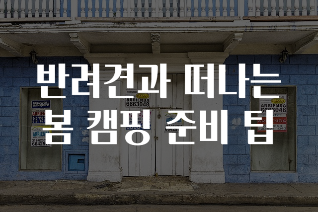 반려견과 떠나는 봄 캠핑 준비 팁