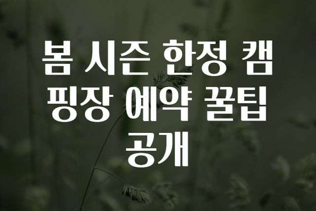 봄 시즌 한정 캠핑장 예약 꿀팁 공개