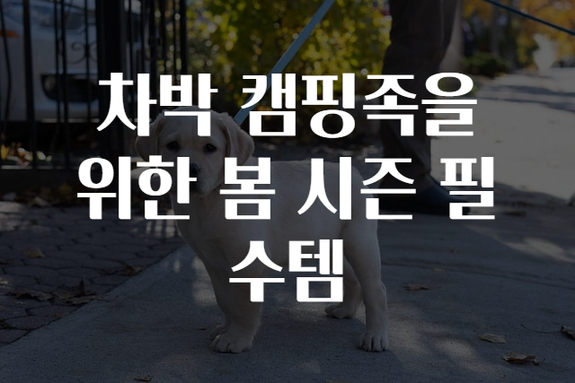 차박 캠핑족을 위한 봄 시즌 필수템