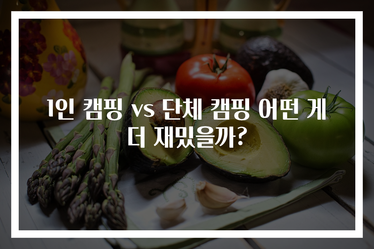 1인 캠핑 vs 단체 캠핑 어떤 게 더 재밌을까?