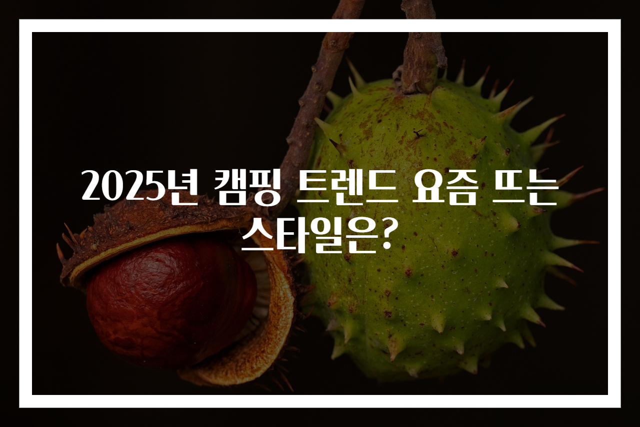 2025년 캠핑 트렌드 요즘 뜨는 스타일은?