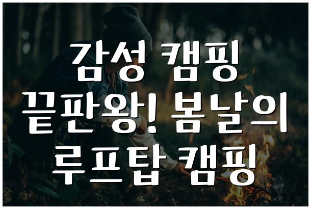 감성 캠핑 끝판왕! 봄날의 루프탑 캠핑