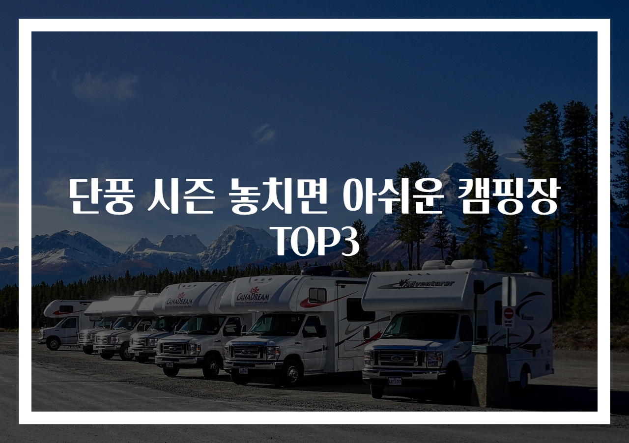 단풍 시즌 놓치면 아쉬운 캠핑장 TOP3