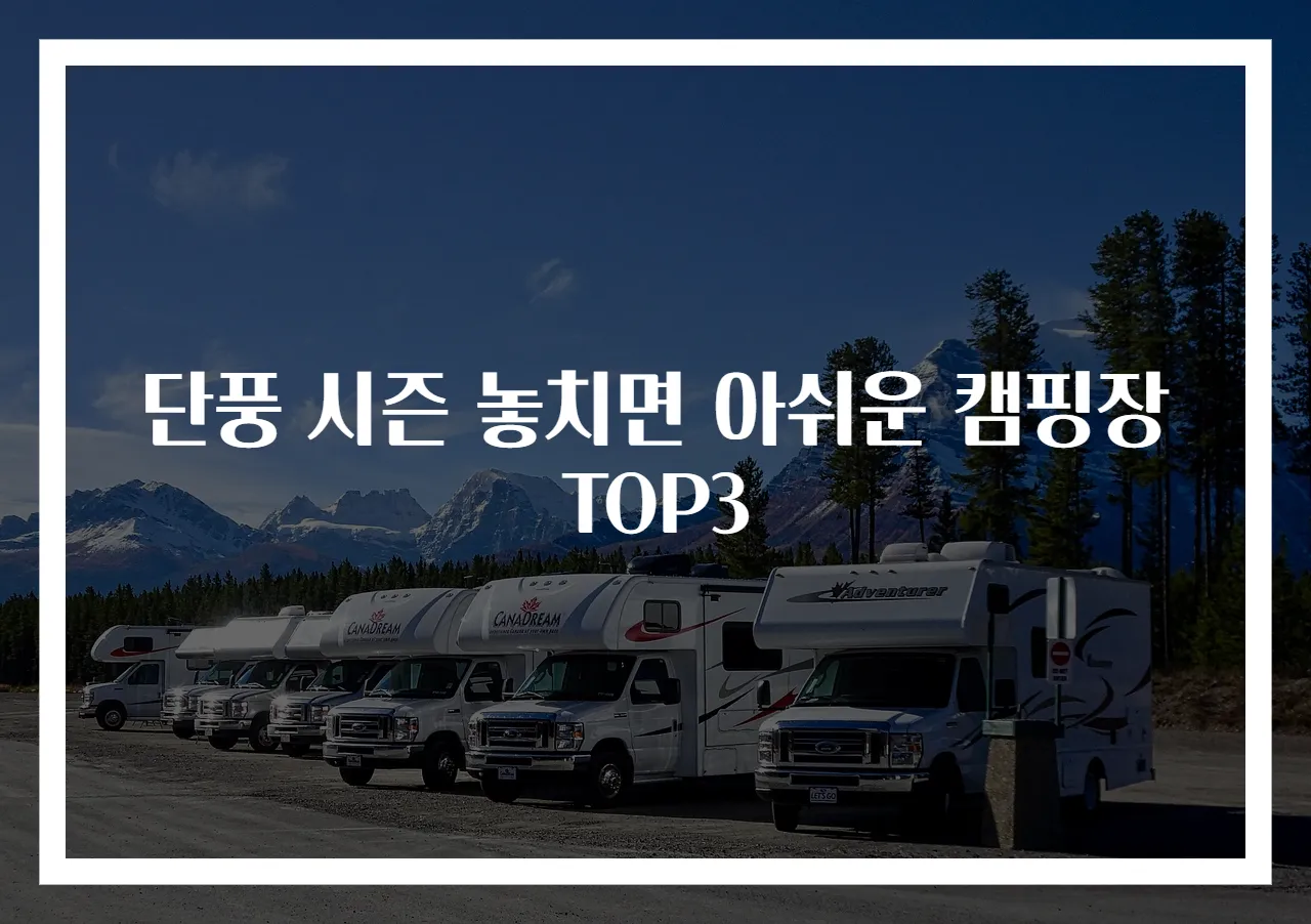 단풍 시즌 놓치면 아쉬운 캠핑장 TOP3