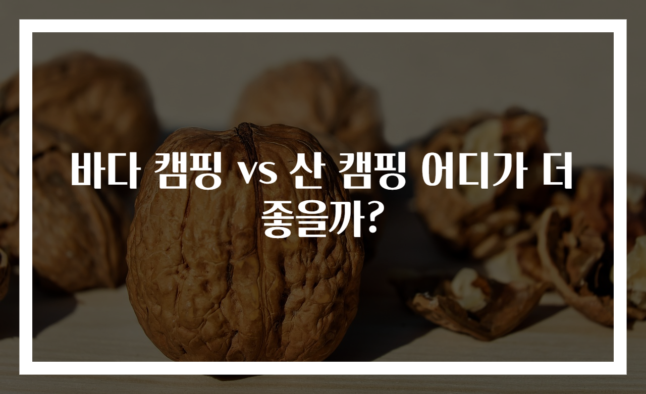 바다 캠핑 vs 산 캠핑 어디가 더 좋을까?