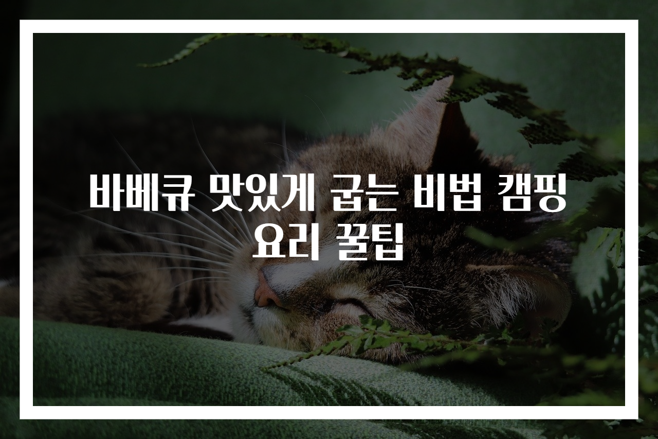 바베큐 맛있게 굽는 비법 캠핑 요리 꿀팁