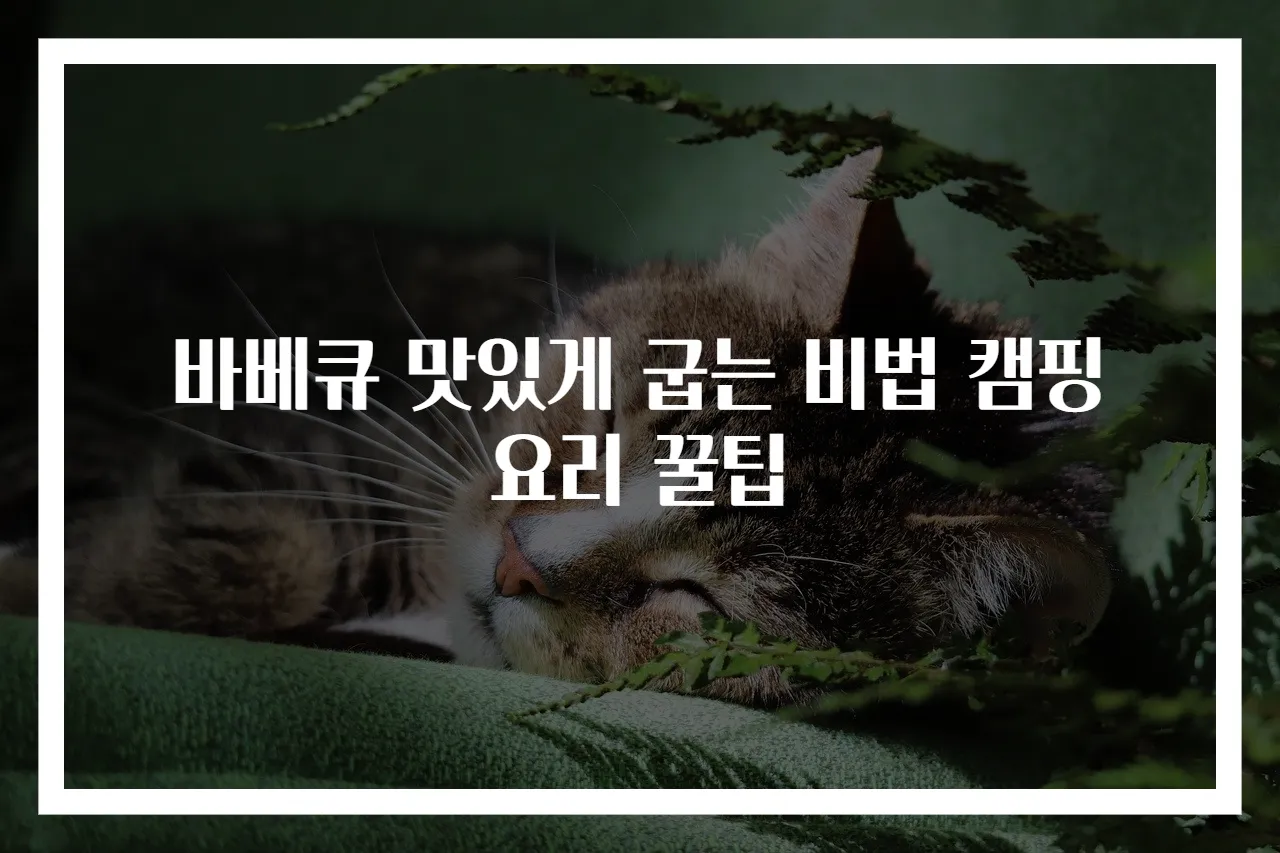 바베큐 맛있게 굽는 비법 캠핑 요리 꿀팁