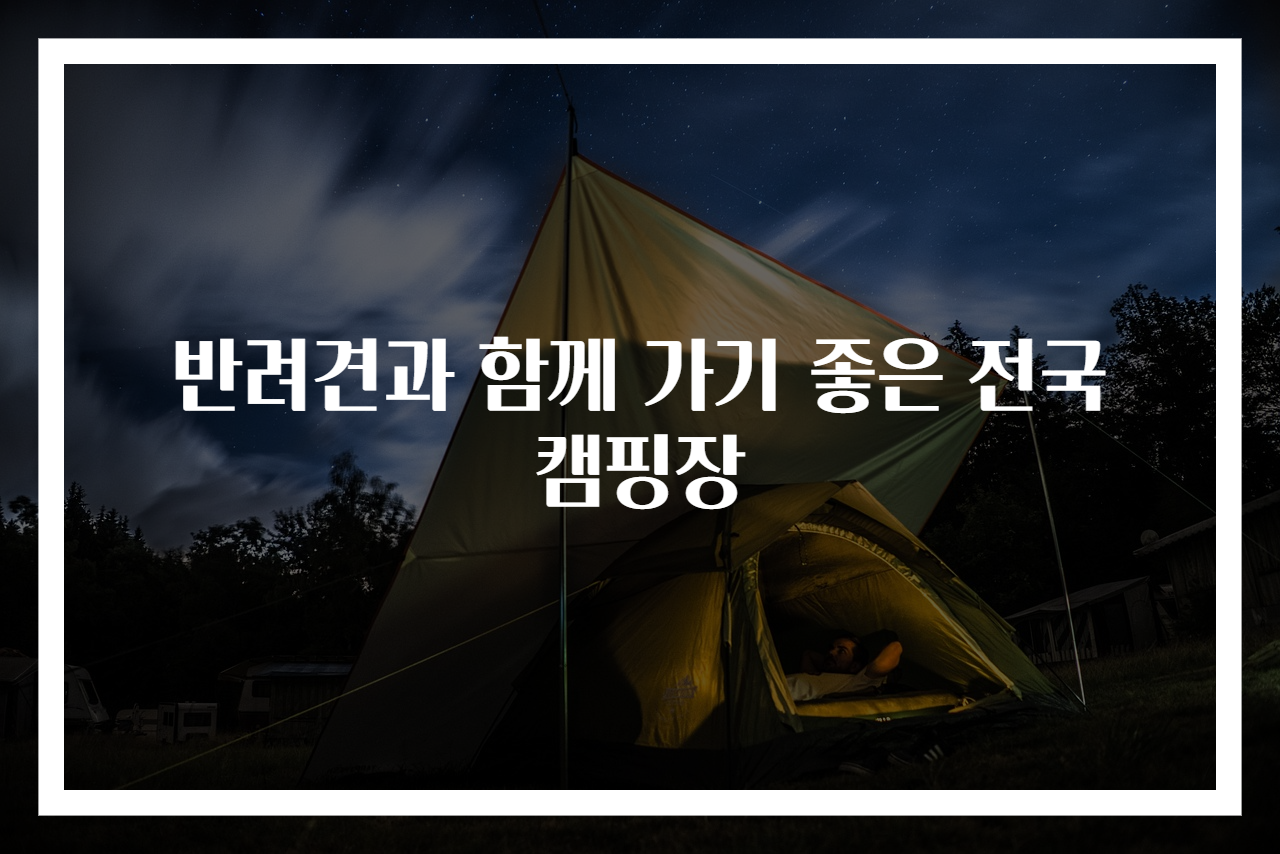반려견과 함께 가기 좋은 전국 캠핑장