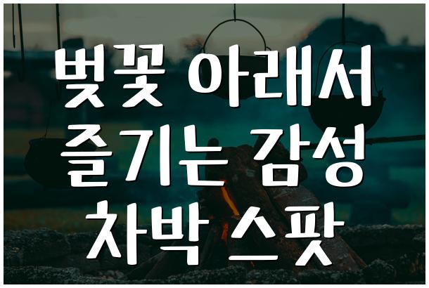 벚꽃 아래서 즐기는 감성 차박 스팟