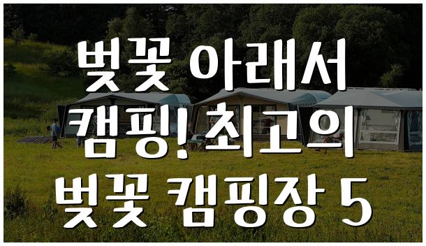 벚꽃 아래서 캠핑! 최고의 벚꽃 캠핑장 5