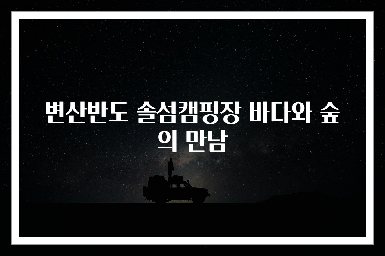 변산반도 솔섬캠핑장 바다와 숲의 만남