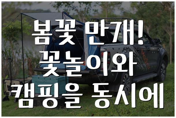 봄꽃 만개! 꽃놀이와 캠핑을 동시에