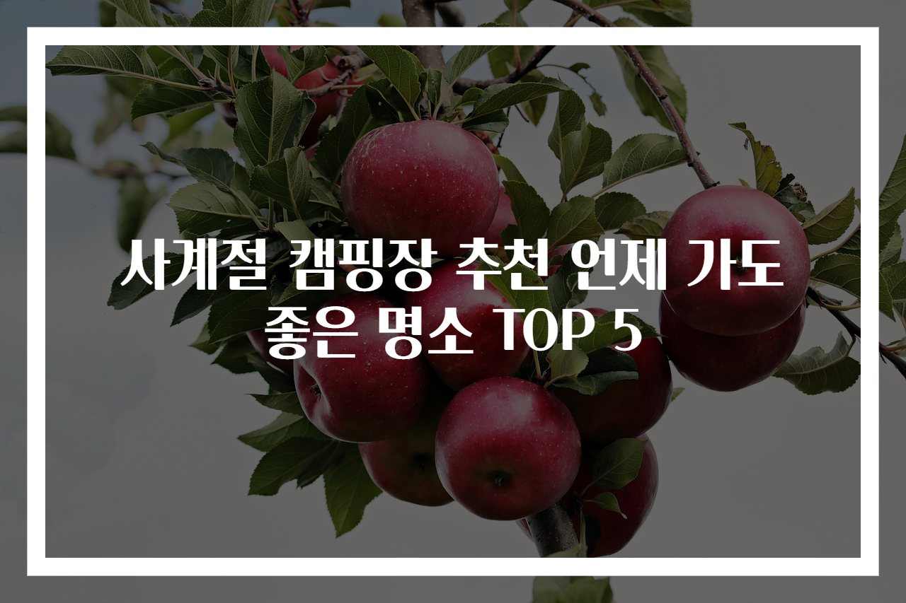 사계절 캠핑장 추천 언제 가도 좋은 명소 TOP 5