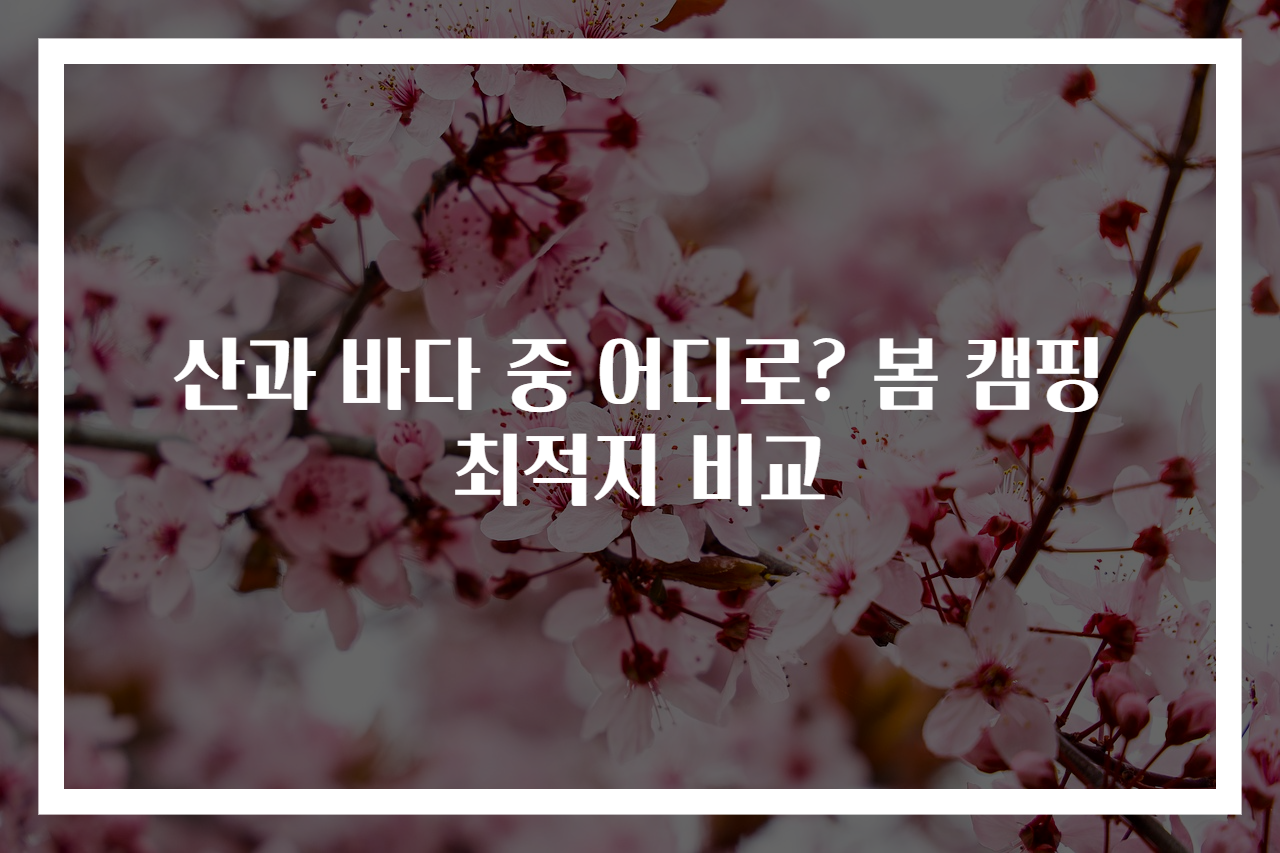 산과 바다 중 어디로? 봄 캠핑 최적지 비교
