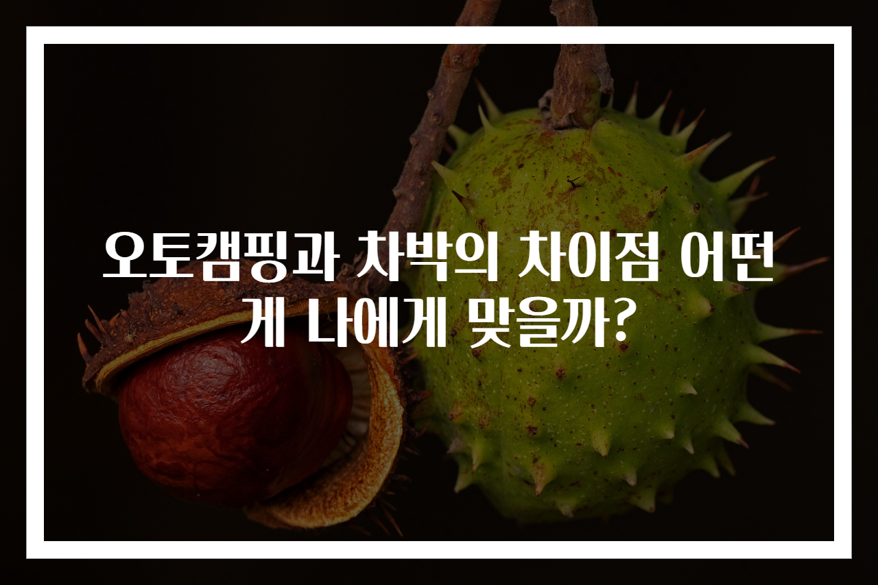 오토캠핑과 차박의 차이점 어떤게 나에게 맞을까?