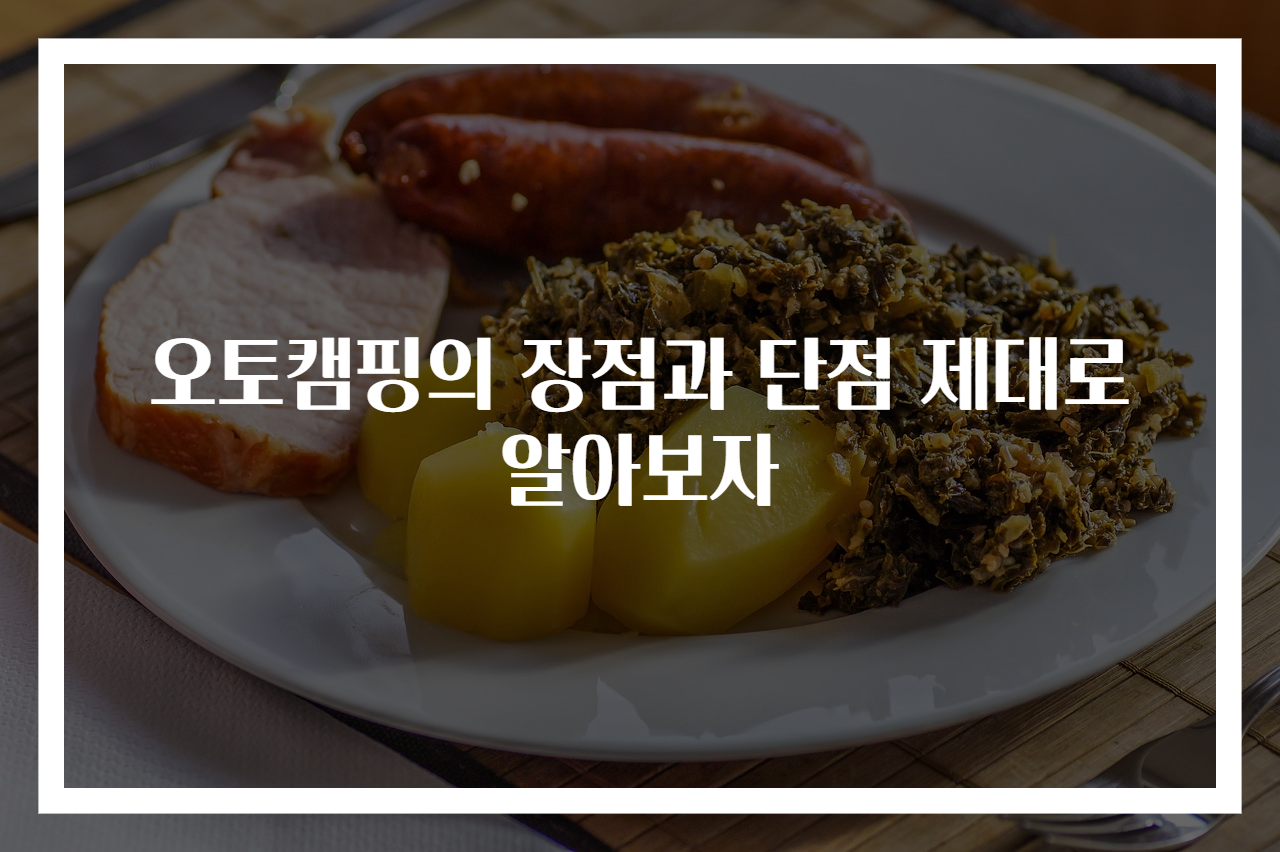 오토캠핑의 장점과 단점 제대로 알아보자