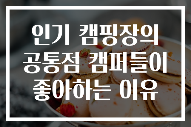 인기 캠핑장의 공통점 캠퍼들이 좋아하는 이유