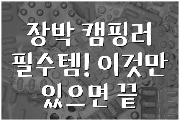 장박 캠핑