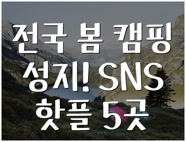 전국 봄 캠핑 성지! SNS 핫플 5곳
