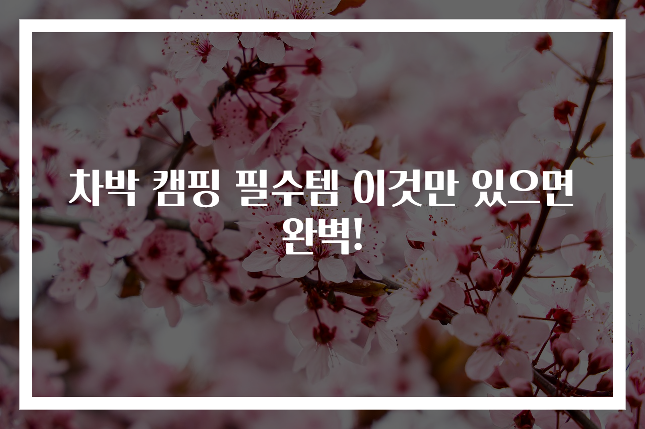 차박 캠핑 필수템 이것만 있으면 완벽!