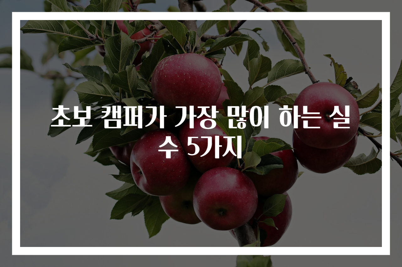 초보 캠퍼가 가장 많이 하는 실수 5가지