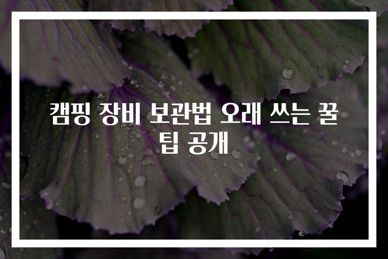 캠핑 장비 보관법 오래 쓰는 꿀팁 공개