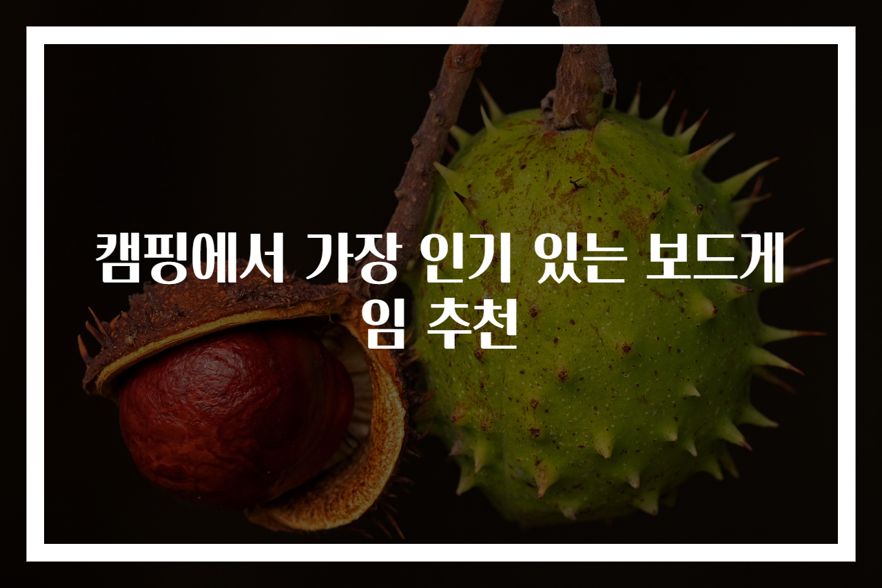 캠핑에서 가장 인기 있는 보드게임 추천